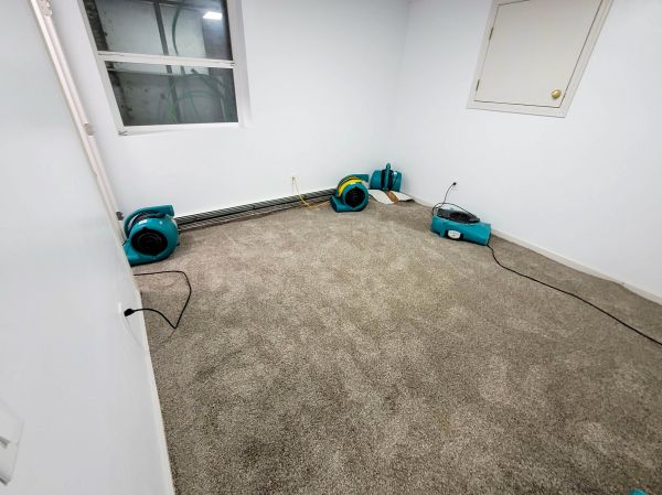 Flood Restoration Service in Sparks