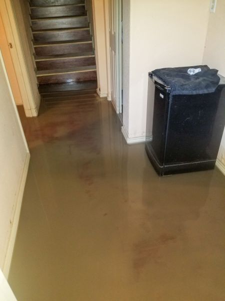Cost of Emergency Water Removal in Sparks