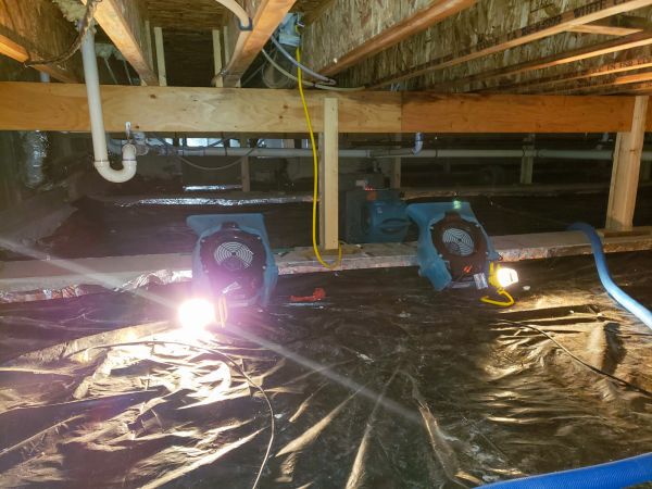 Cost of Crawlspace Water Removal in Sparks