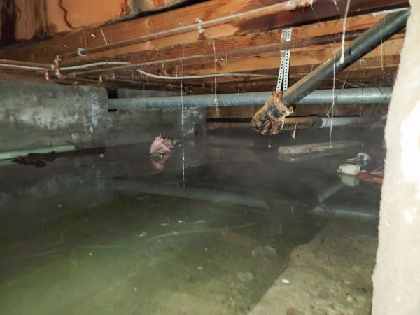 Cost of Crawlspace Water Restoration in Sparks